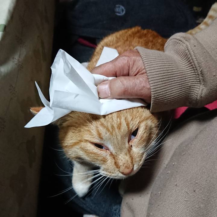 Ccc06577 a033 4066 ad43 34588d7b2ea4 1578516407303