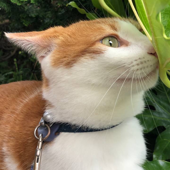 Ccc09eb6 ea47 418c 8c26 6dbe2e9b4958 1564464101541