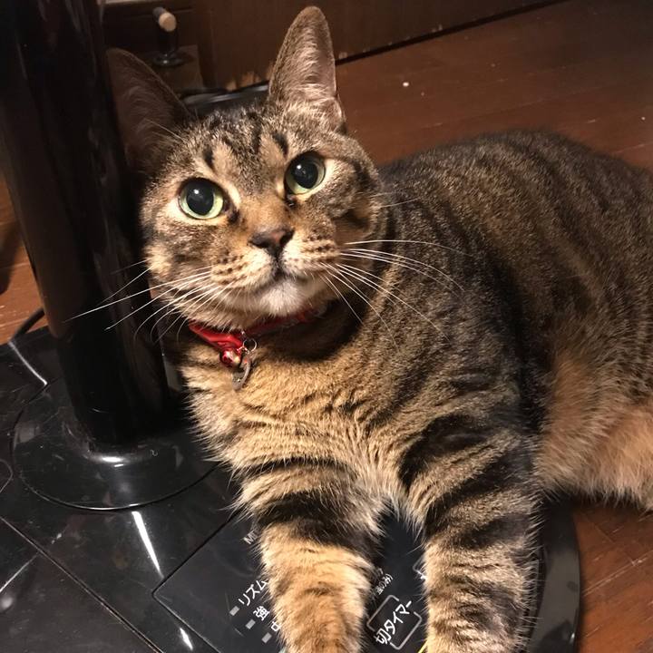 Ccc0abd0 3b80 4510 bc04 a615befc7c2b 1628953129611