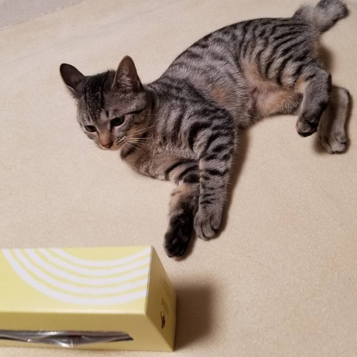 Ccc0d2db 21a4 4b55 80e8 6e603e2b3fa9 1675261623830