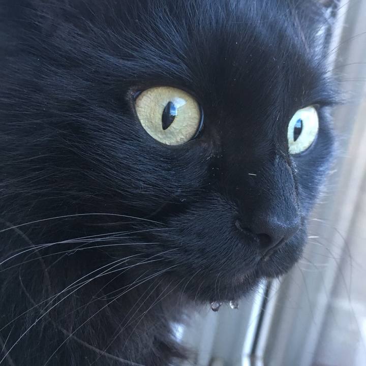 Ccc0f43e d23c 4401 8ec7 7c722d1b28f3 1541976823376