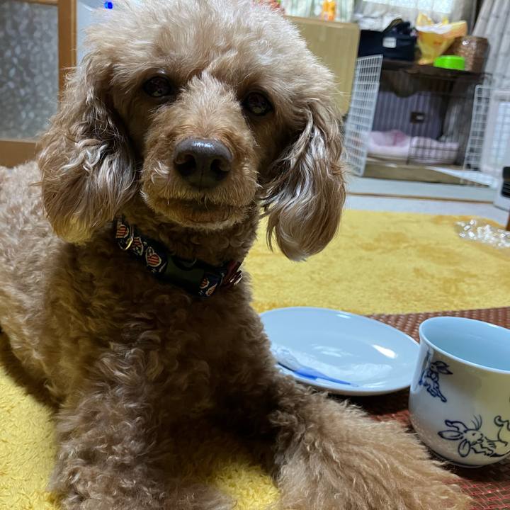 Ccc1094a eef1 4086 9f43 790c888ea236 1649934886265