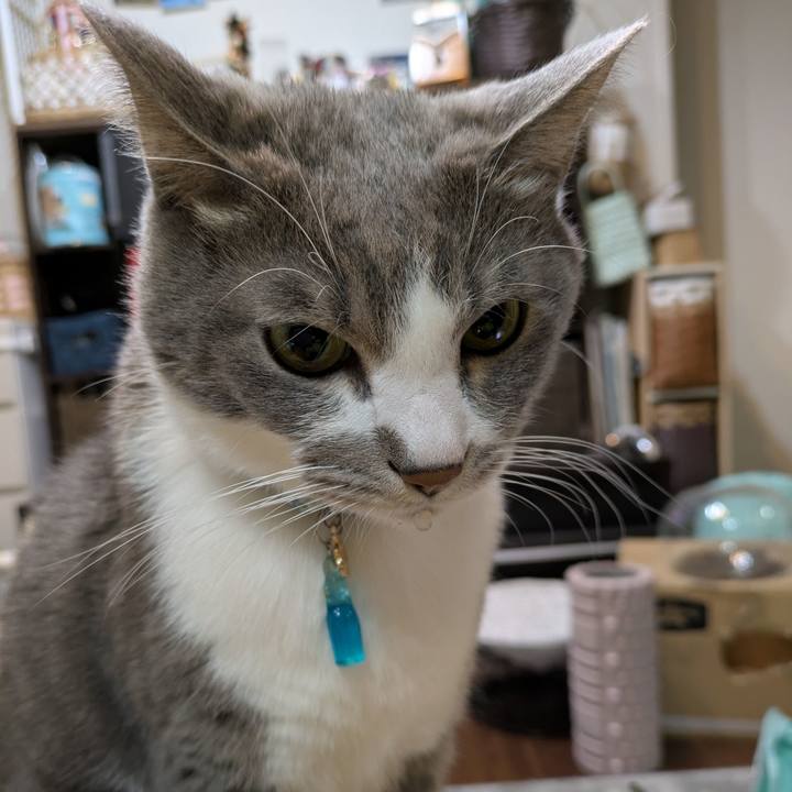 Ccc12482 9f87 41f8 a0bc 32215863a2ad 1734349968826