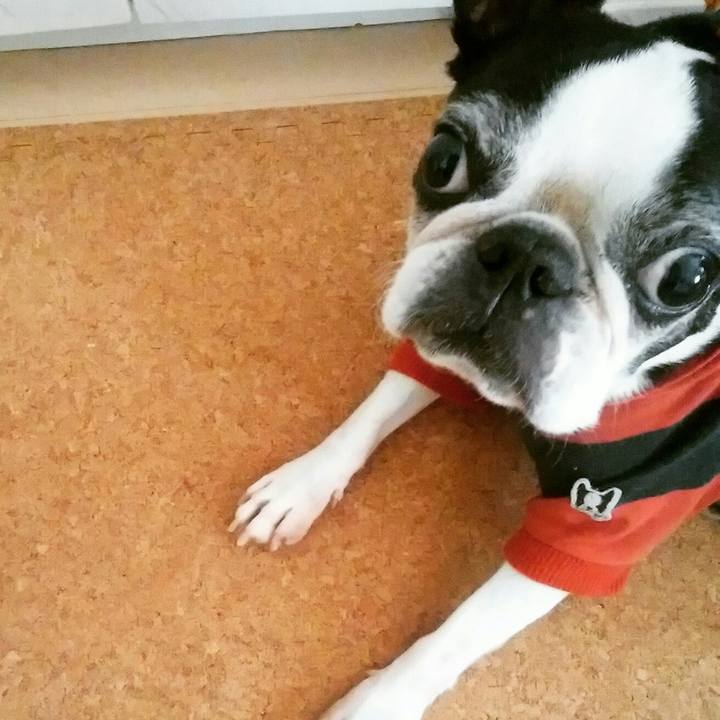 Ccc13da2 e2fb 474f 8287 1c4c929b5406 1541031437099