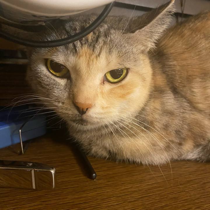 Ccc158e3 f321 4730 906b 669952ec5630 1605745806810