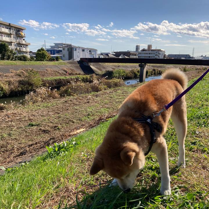 Ccc18bd6 81cd 40c1 9c0e 237bd1a97e24 1611704168608