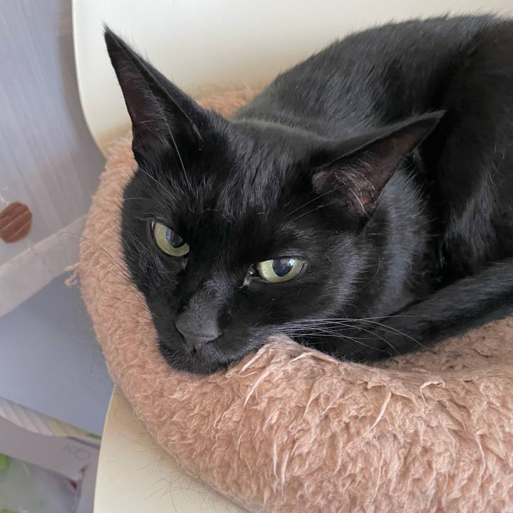 Ccc1a334 f12d 4e55 b47f 991cd21bd3d0 1666488998622