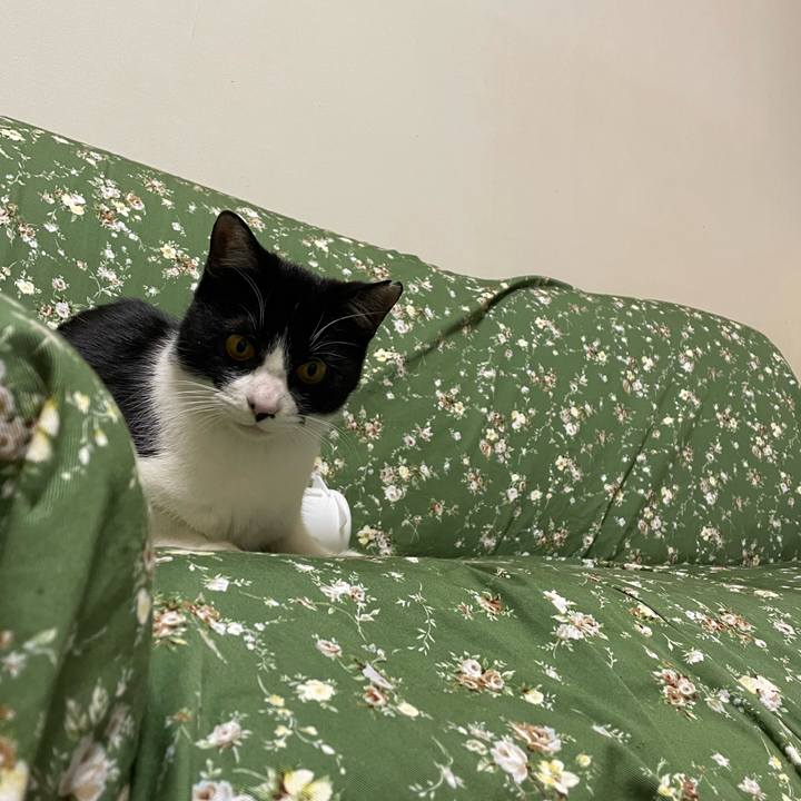 Ccc1b4f8 8336 429b 8ebc b0a36c33c518 1680262892808