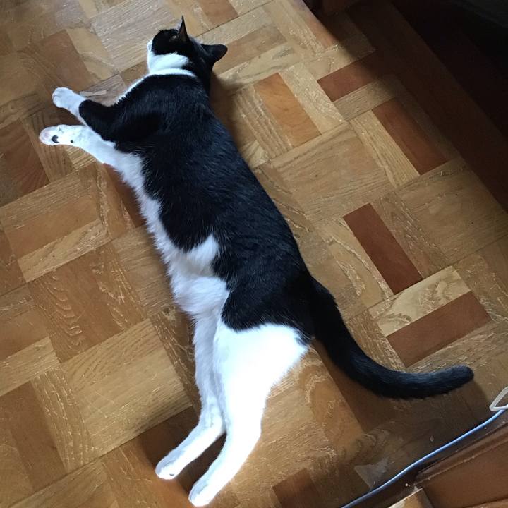 Ccc1c38a e793 4548 a671 a492a5600d81 1720250597333