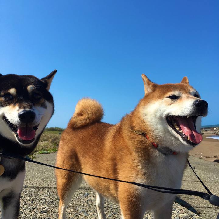 Ccc1e508 558e 4e7d bf40 61325154ca05 1632565731741