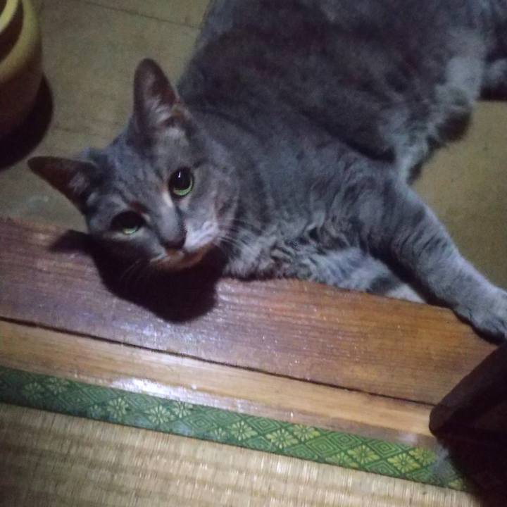 Ccc21134 981a 4cef 8127 fc31bccfbd1e 1623520783751