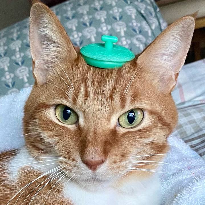 Ccc22ffc 4d48 40ec a121 f7fb0ad9e721 1719063240861