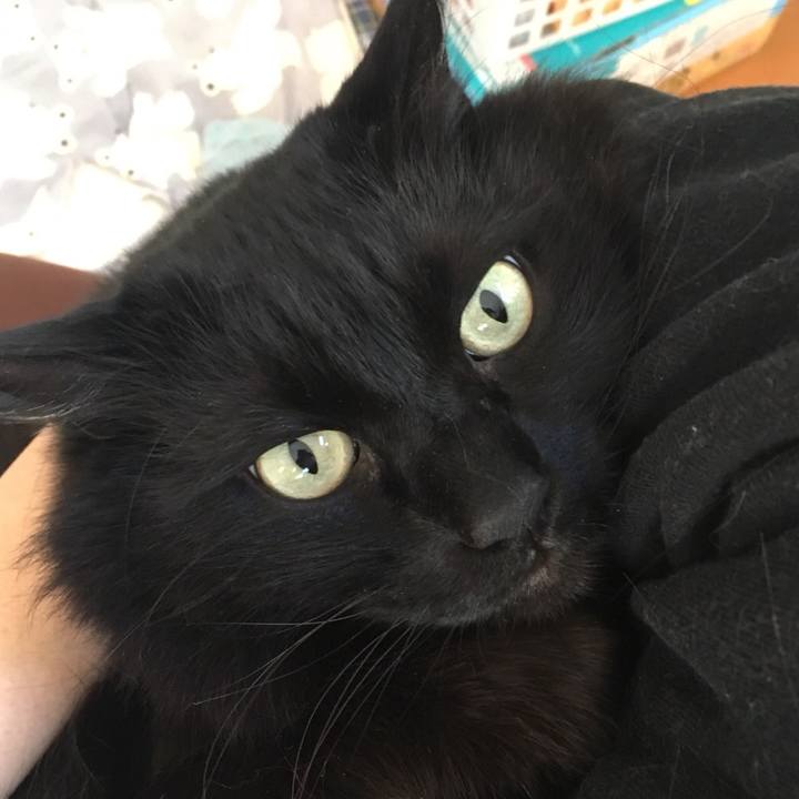 Ccc25814 74fc 4636 9618 7ae1fe559162 1521448064140