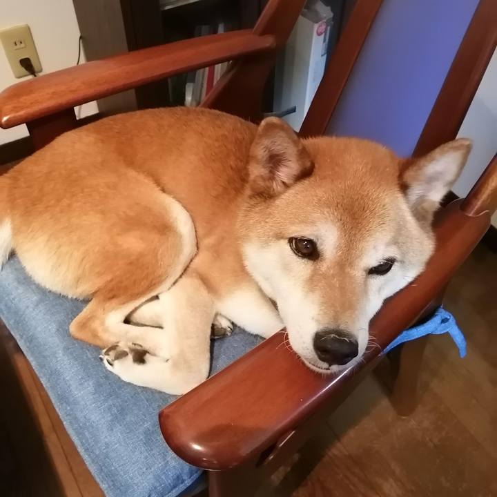 Ccc25a93 f216 4631 8913 b30a37bbbf7b 1657537145320