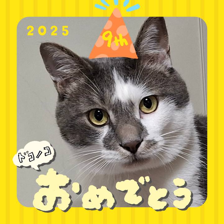 Ccc2d931 9ae9 427b a5cb da0cd7181761 1749446780041