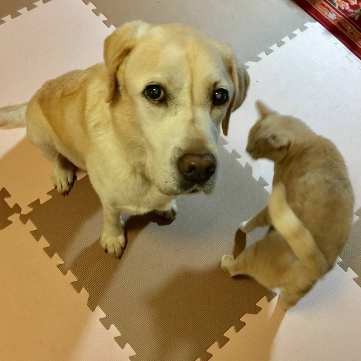 Ccc300e5 eec1 47e4 89bc f4b2c5d9cd03 1538478869191