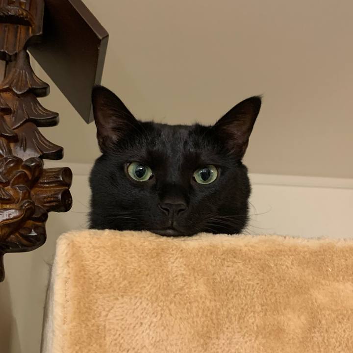 Ccc38860 94de 4783 b61d c9744b31abf2 1608818857699