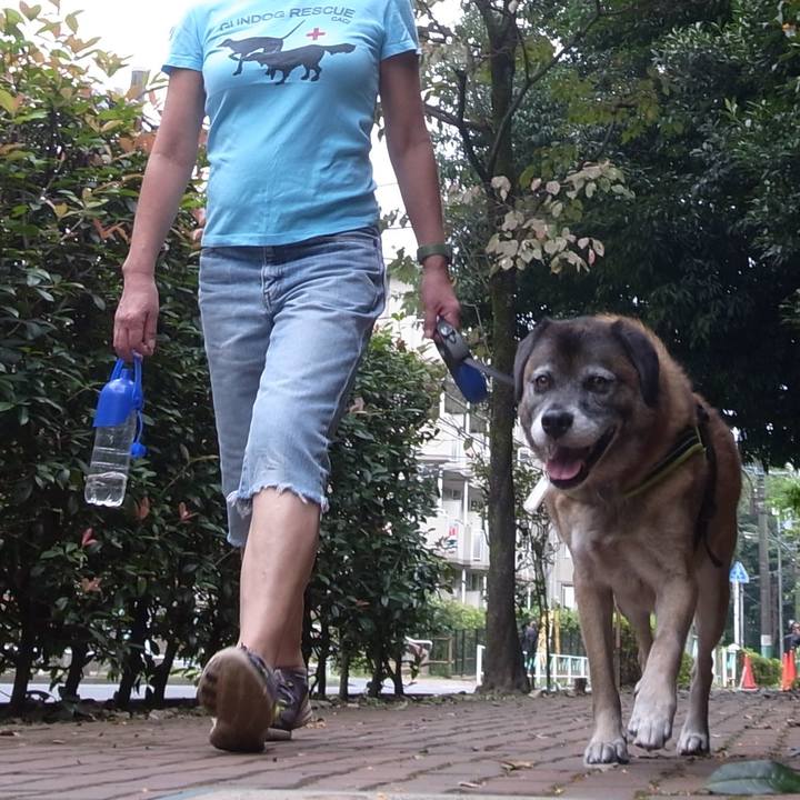 Ccc38f64 486d 4d5a 8f8f d5209d8c4370 1590113022447