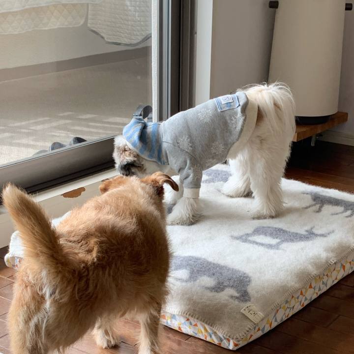 Ccc39fc5 04f1 4133 a2a5 f3283c1e0e9b 1582093865577