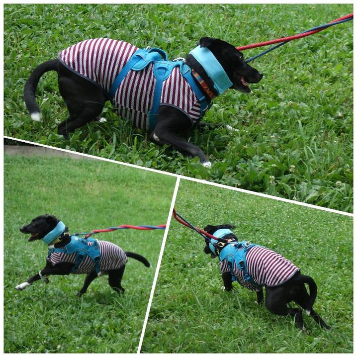 Ccc40544 7939 4cb9 9b7f 4cfcf15a65ec 1627260685558