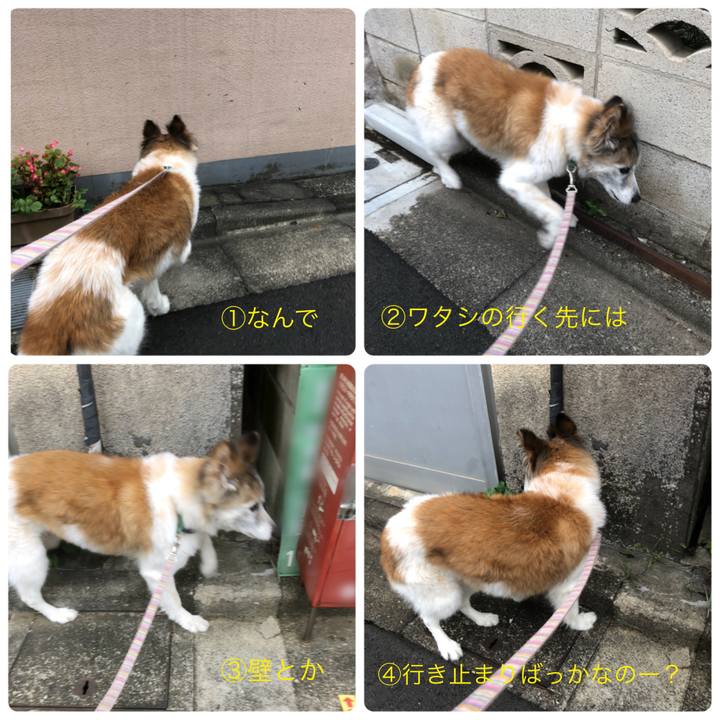 Ccc40eac cbd6 4a5f 990d 11b429af90e1 1538698048883