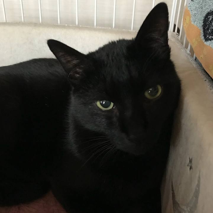 Ccc41a82 4f10 420a 94c7 fb11aa63d7f5 1516325486048