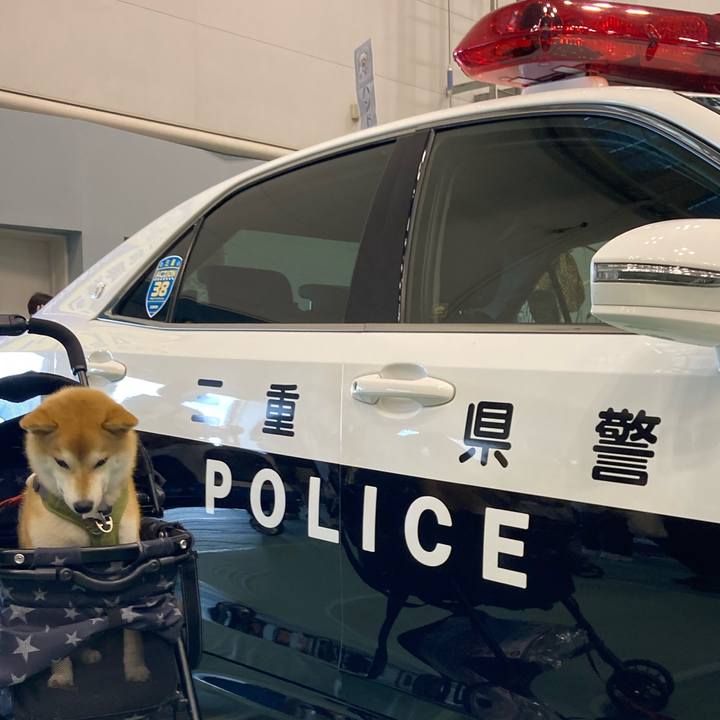 Ccc4437e b32c 4616 add5 7fc395d450a1 1719662657553