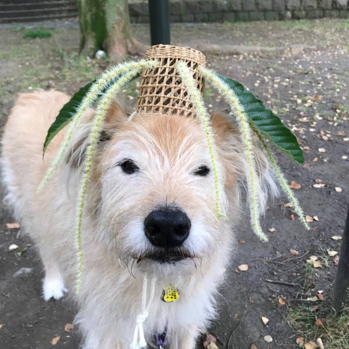 Ccc45d25 c9ef 42dc 9ae9 20423227af80 1591309868801