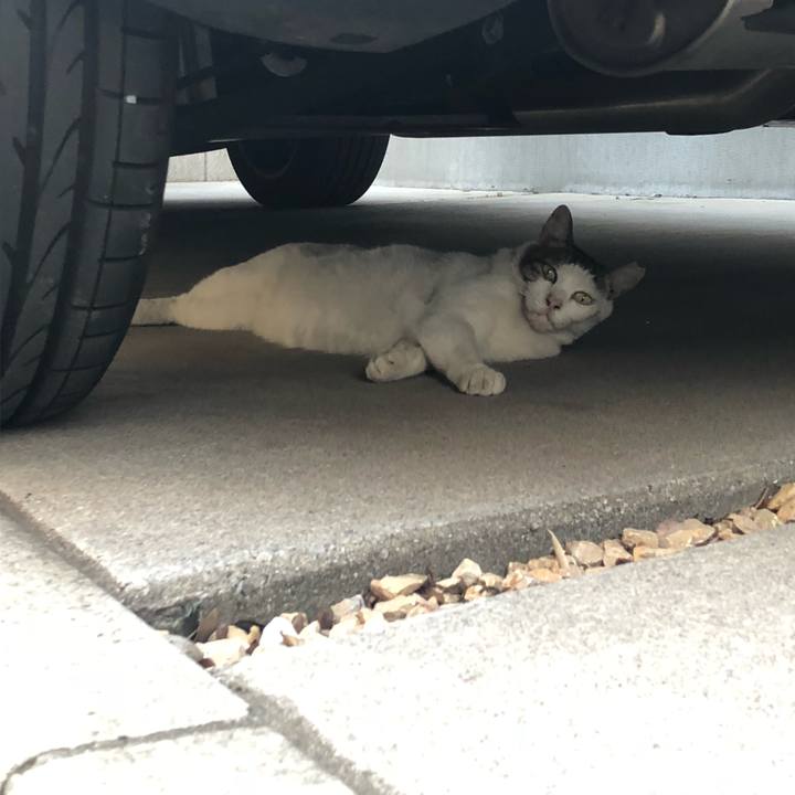 Ccc4663d 7933 4cdc 843b 9f41dd1ac3fd 1531945452405