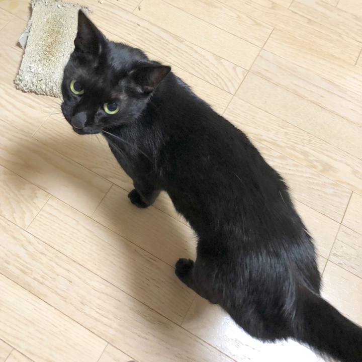 Ccc4927d f3f5 4ea1 b5ba 16a2f419349b 1594384329754