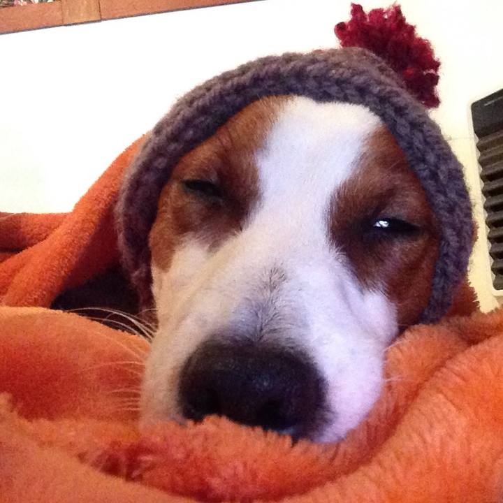 Ccc4a183 6456 4e2f addc 79e306808854 1514016986208