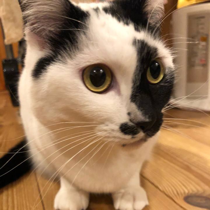 Ccc4a2be 56c6 4389 b75f f4a24764c0cb 1579272318325