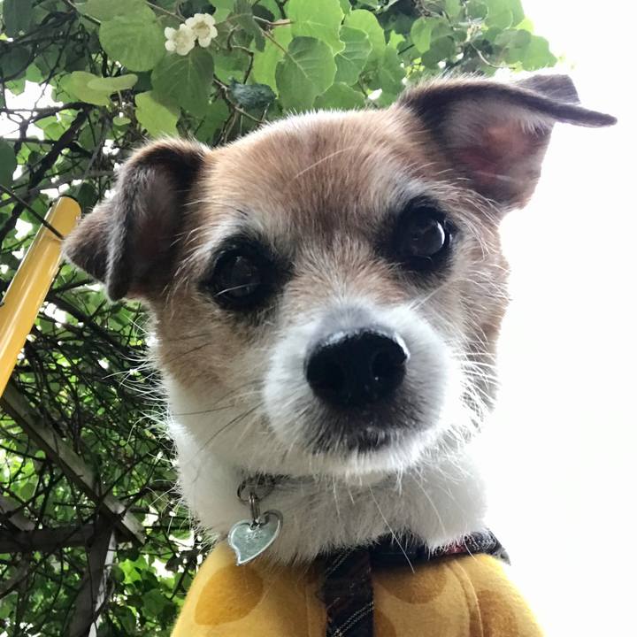 Ccc4e505 7d67 409d 8c6a c766006f3bbb 1621326609126