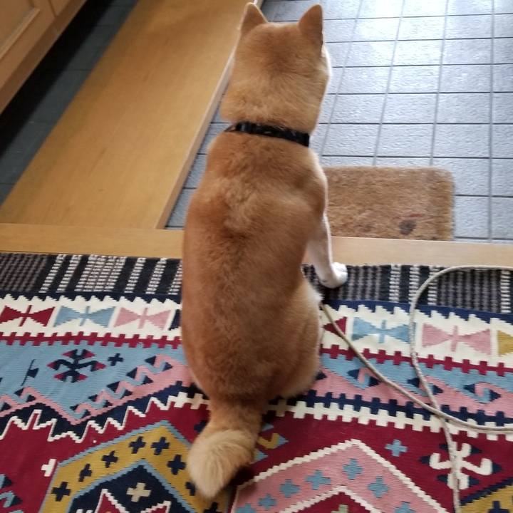 Ccc4ecff 24fa 4ad4 910d bdc9530fd5ae 1579855405716