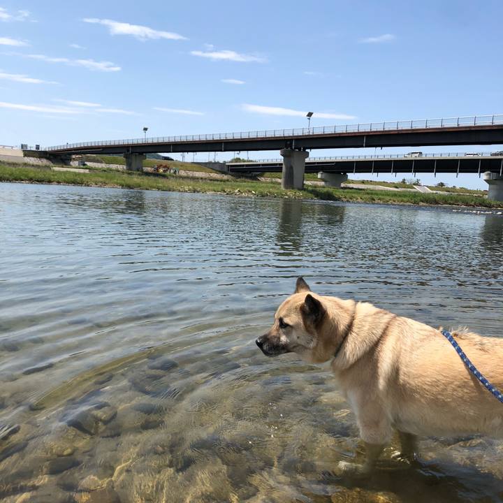 Ccc4ed18 a8b2 4c91 ac1c 8a7cb858c5fe 1619353108382