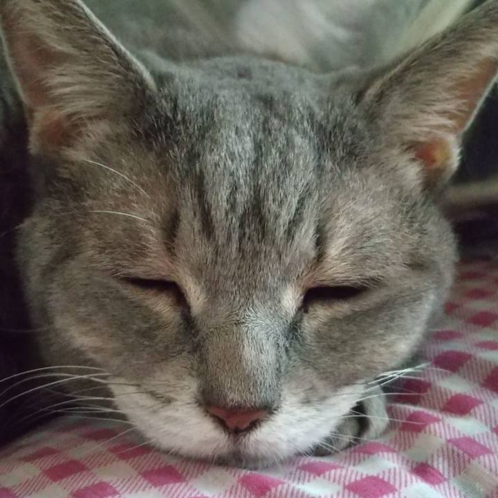 Ccc4fc6f 6df7 4e47 b110 748be68b5884 1663993100898