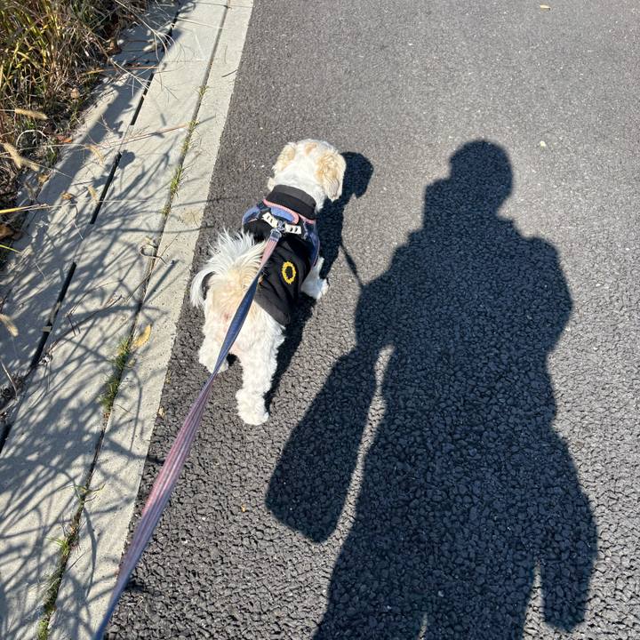 Ccc50637 de8a 4f76 9b6f a7cd2aeb849e 1764193788279