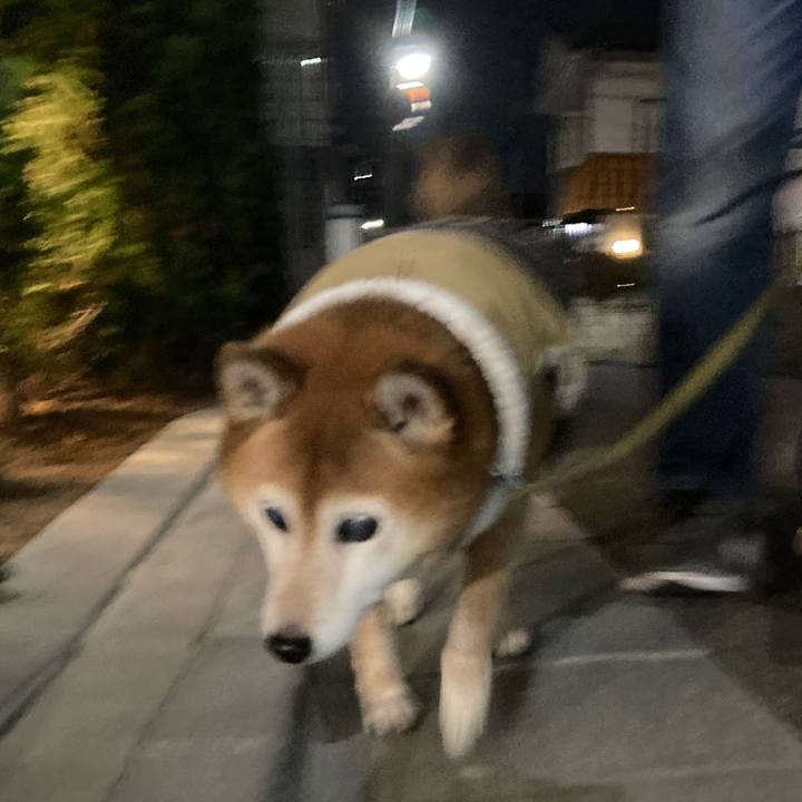 Ccc50ebe fa49 4c94 a962 65ea58a0c8c7 1701437676604