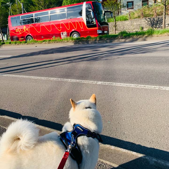 Ccc523cb b254 46bf b96b 4d48642de197 1622061816013