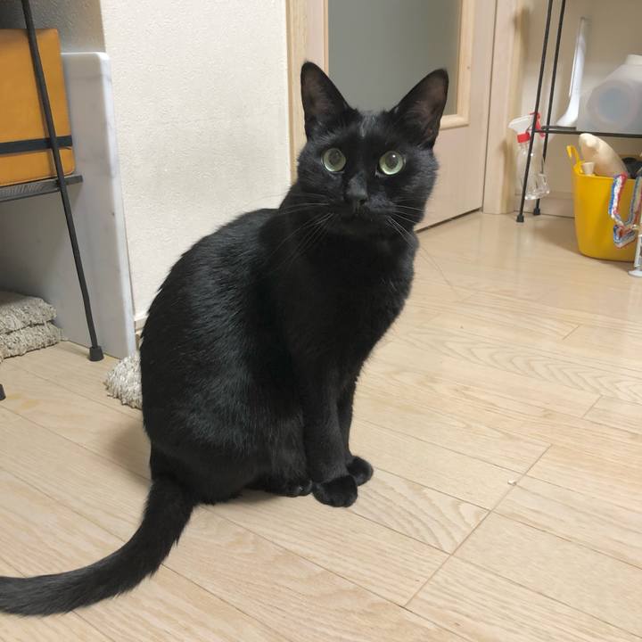 Ccc5282d debe 4a93 8230 b44501836458 1610632538084