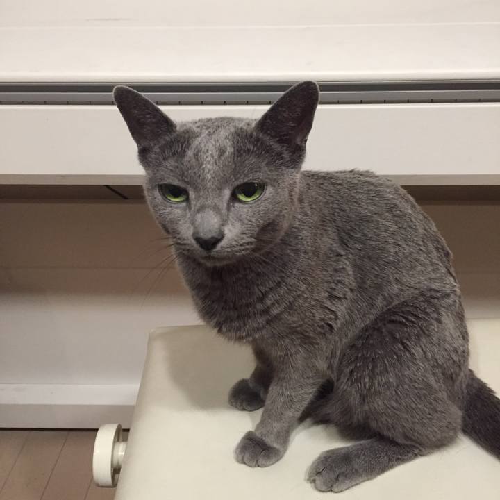 Ccc53d1d c30e 42f3 84ed 18e4208c6a0b 1529679891807