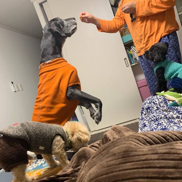 Ccc55802 3390 41cc be03 ef73181a5308 1579178171898