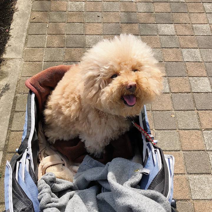 Ccc56dba 5be9 453a a948 2ed8b5109d16 1519962192125