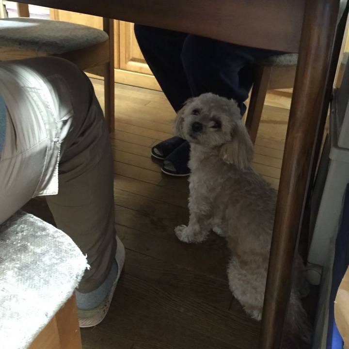 Ccc58b6b dd37 4015 90b0 723fbe2e9c21 1546171674795