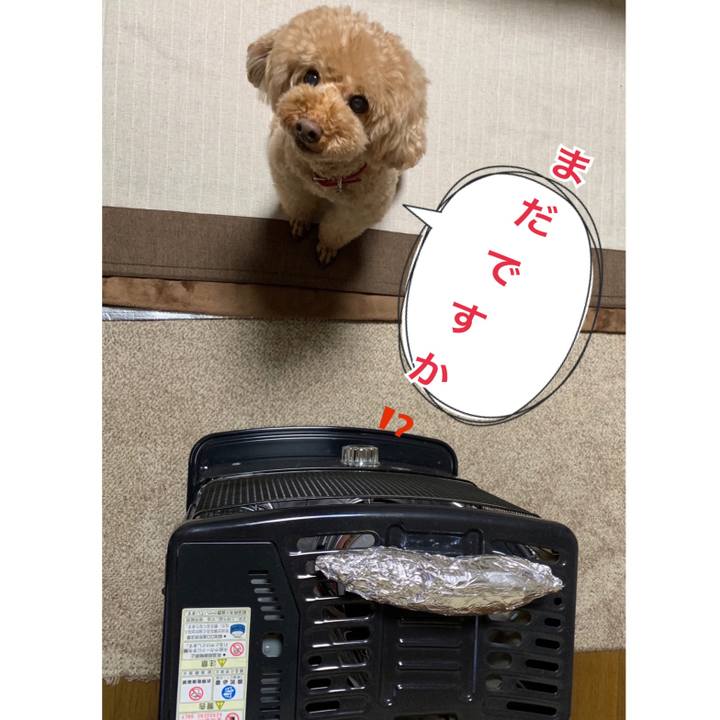 Ccc5a778 9153 4d37 8282 eaa5b43f24d8 1543831981442