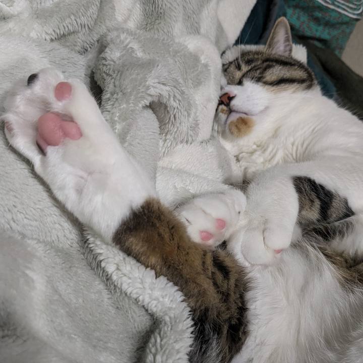 Ccc5a94a 55d3 4d87 91e6 3efe49dfea85 1719132096352