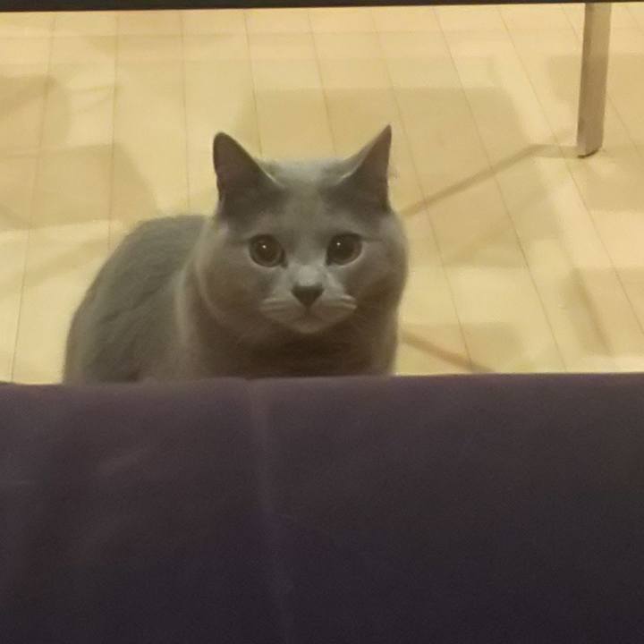 Ccc5b39f 981a 4337 af8b 28ffce885601 1556274670184