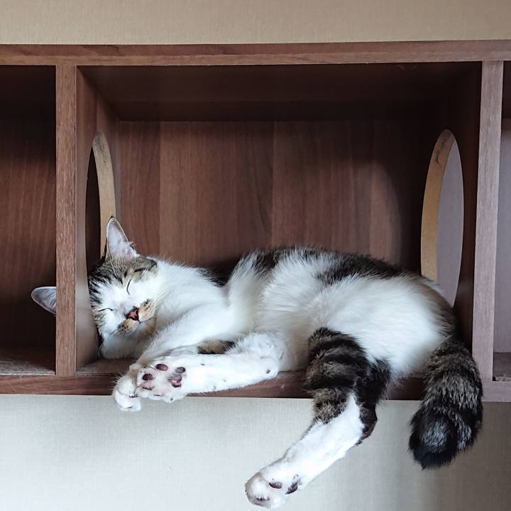 Ccc5b3d2 c448 44cb bee6 66bed0507bf8 1591509616224