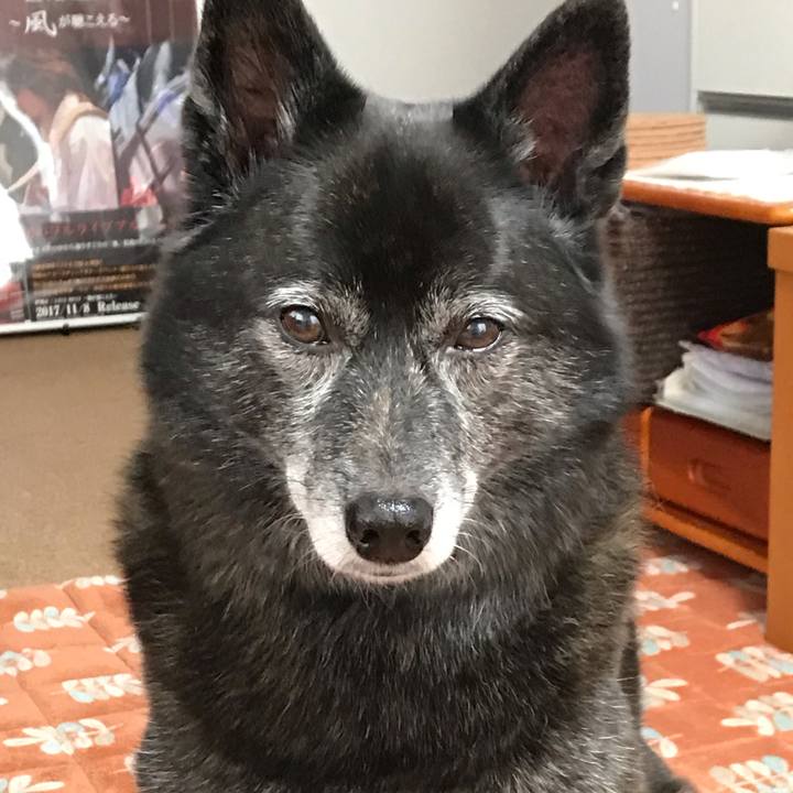 Ccc5fdab a3ae 4254 98a8 08ef0bbfc001 1548249286650