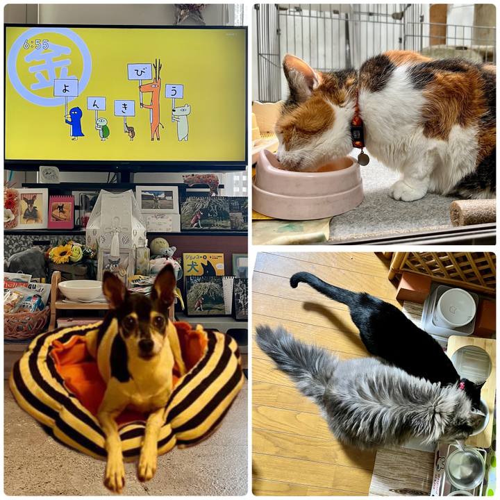 Ccc6008a 38d2 47f3 8464 607455314cf7 1680213671104